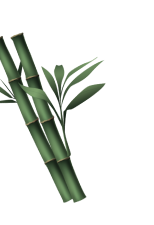 bamboo