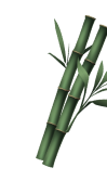 bamboo